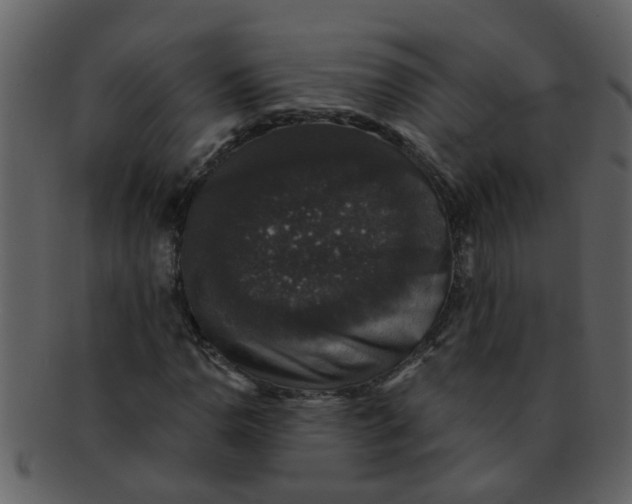 X0000093131110200710171301