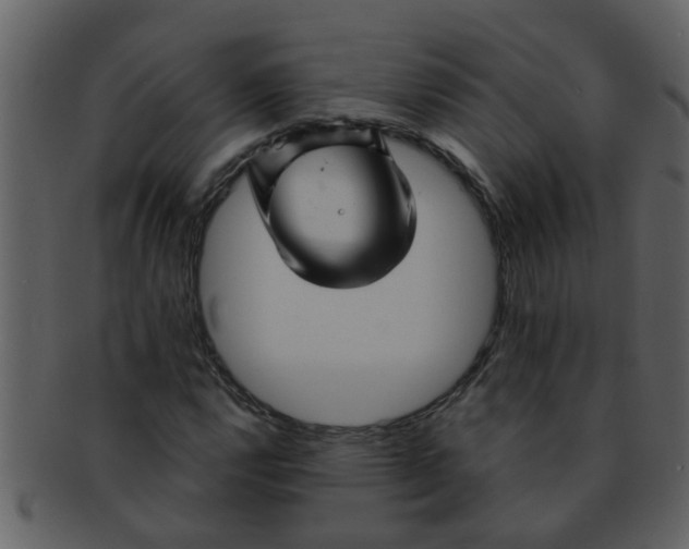 X0000093131112200710171301