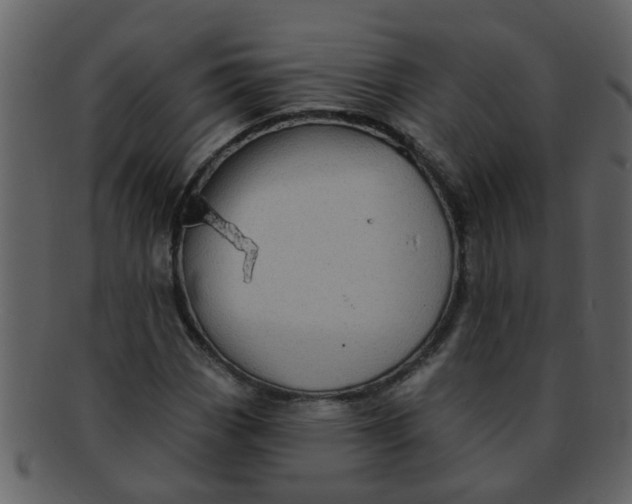 X0000093131113200710171301