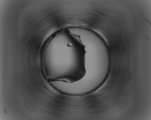 X0000093131114200710171301