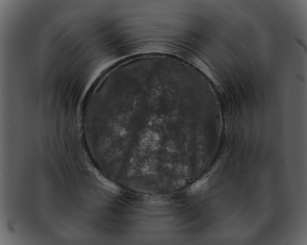 X0000093131116200710171301