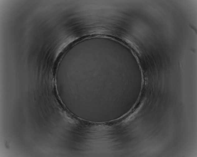 X0000093131117200710171301