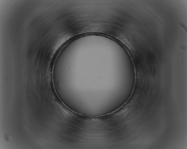 X0000093131119200710171301