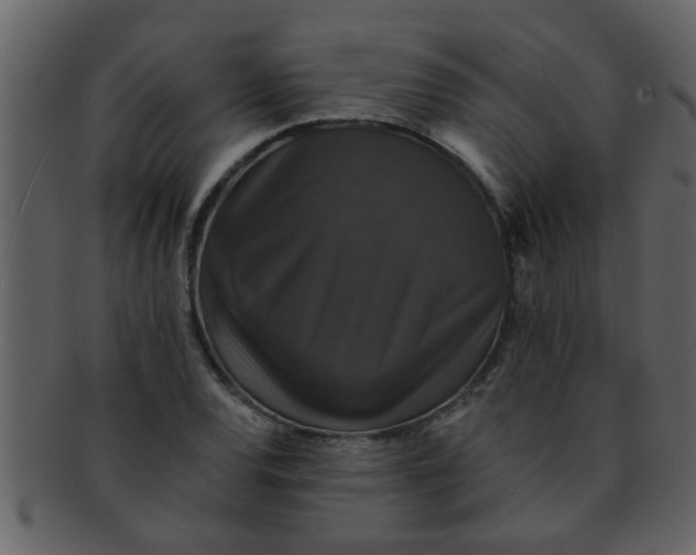 X0000093131120200710171301