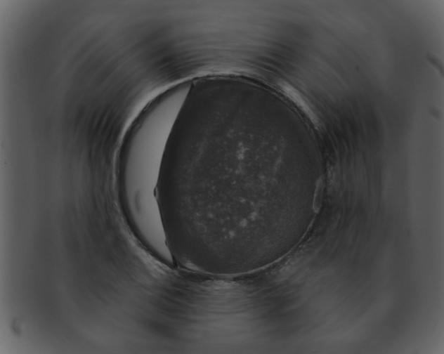 X0000093131124200710171301