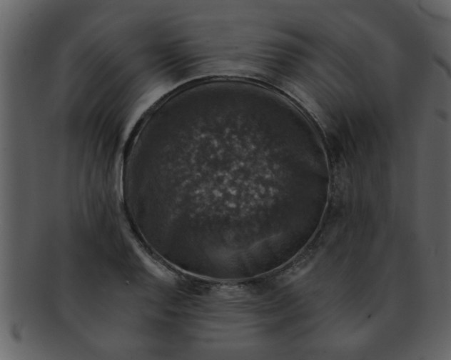 X0000093131128200710171301