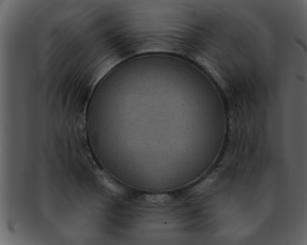 X0000093131129200710171301