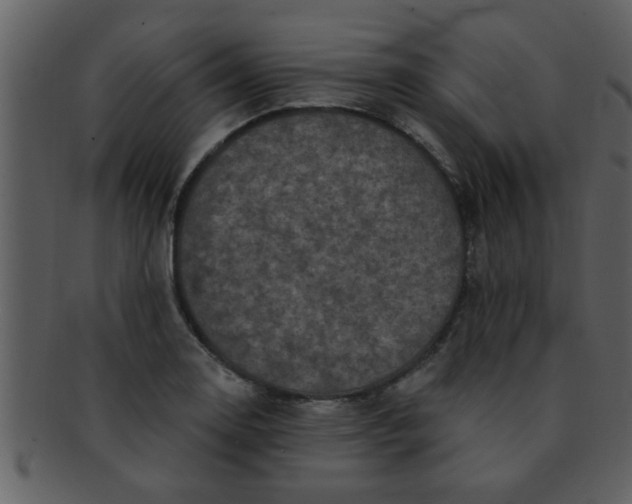 X0000093131130200710171301