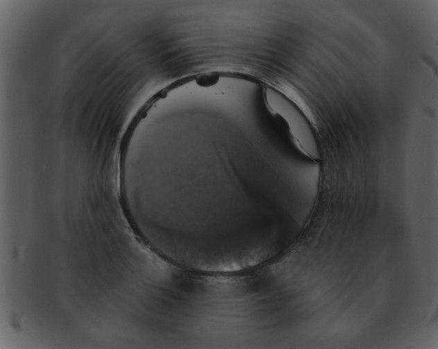 X0000093131132200710171302