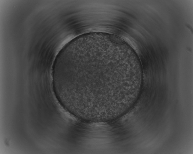 X0000093131133200710171302