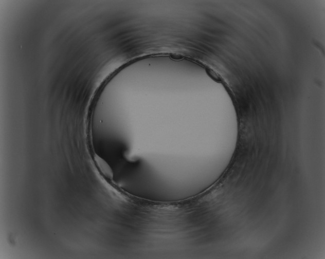 X0000093131135200710171302