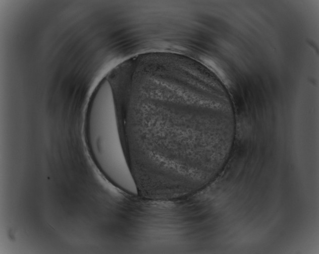 X0000093131136200710171302