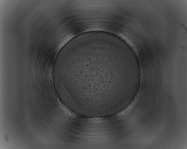 X0000093131137200710171302