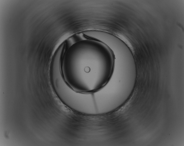 X0000093131138200710171302