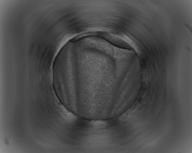 X0000093131140200710171302