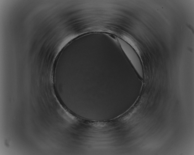 X0000093131141200710171302