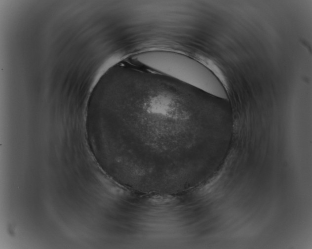 X0000093131146200710171302