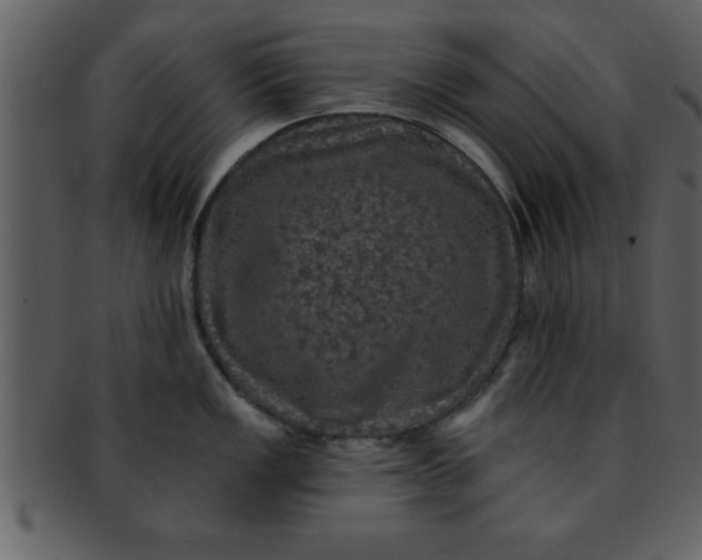 X0000093131149200710171302