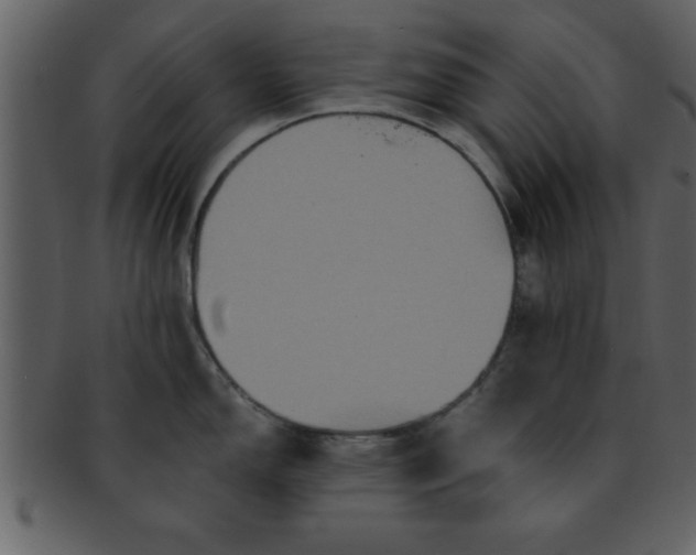 X0000093131150200710171302