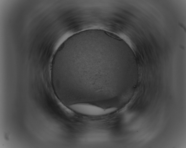 X0000093131151200710171302