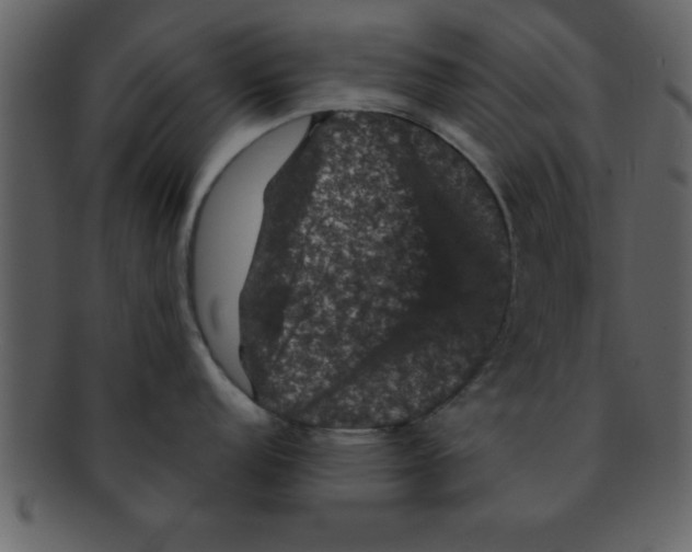 X0000093131152200710171302