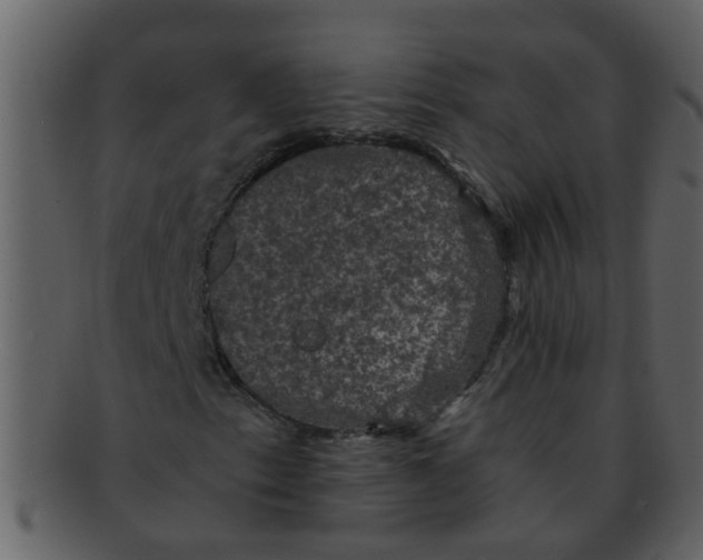 X0000093131153200710171301