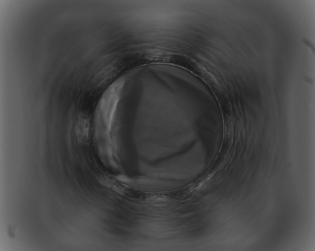 X0000093131154200710171301