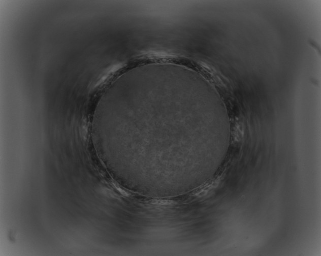 X0000093131157200710171301