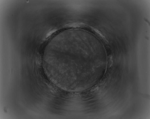 X0000093131158200710171301