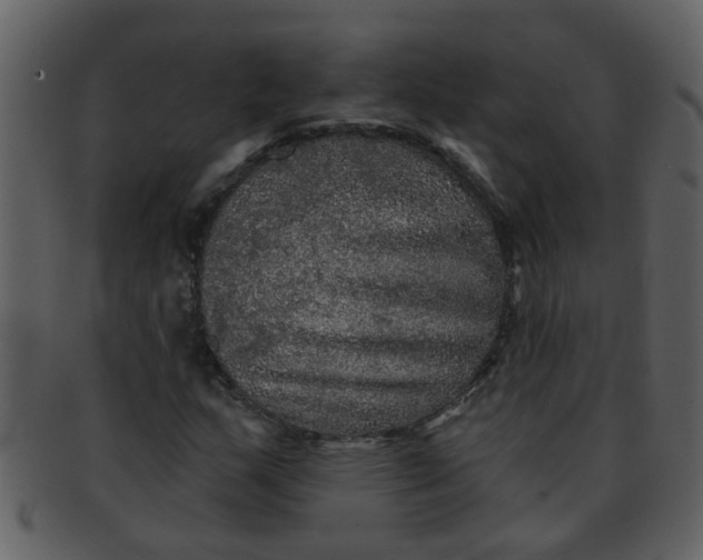 X0000093131159200710171301