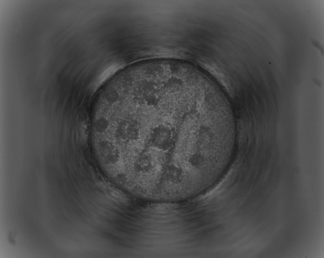 X0000093131163200710171301