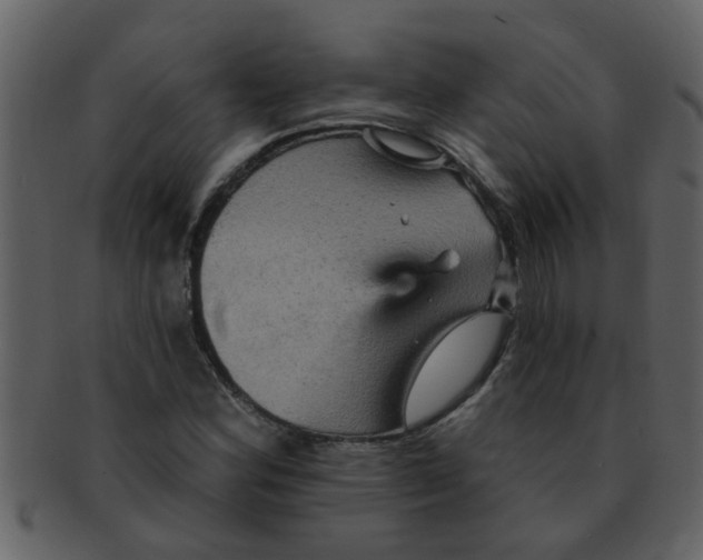 X0000093131164200710171301