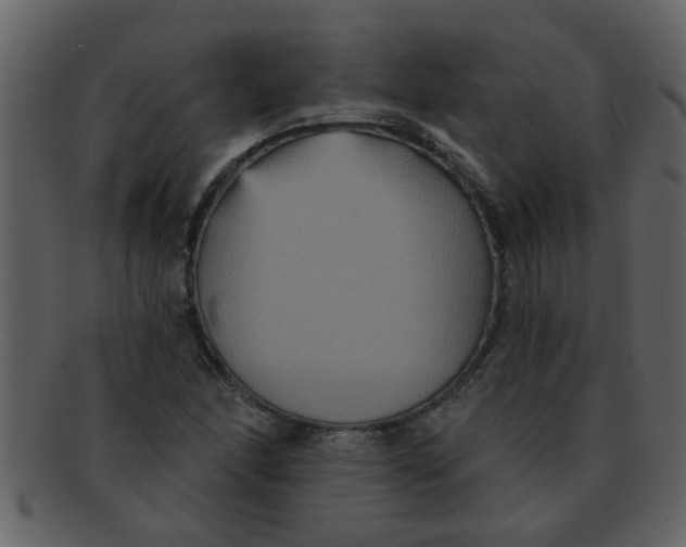 X0000093131166200710171301