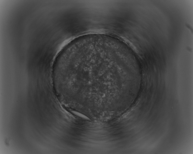 X0000093131168200710171301