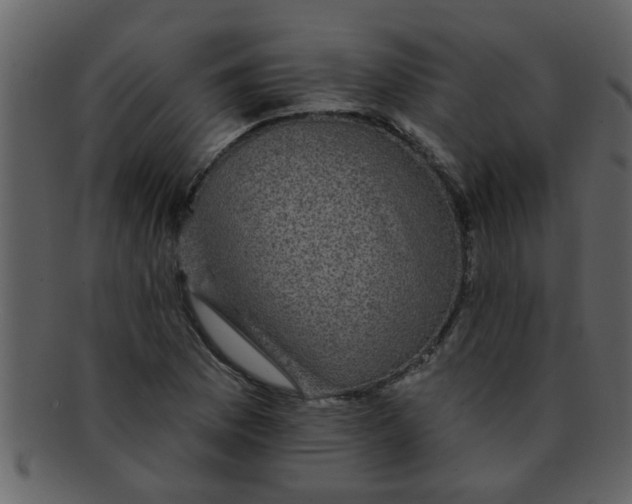 X0000093131169200710171301