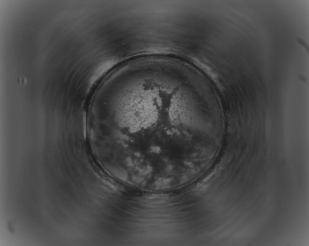 X0000093131171200710171301