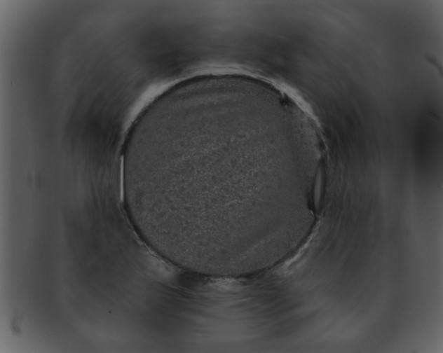 X0000093131175200710171301