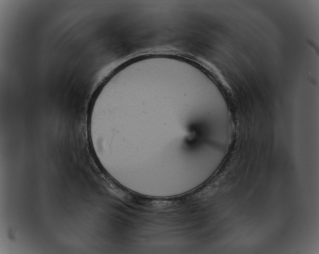 X0000093131176200710171301