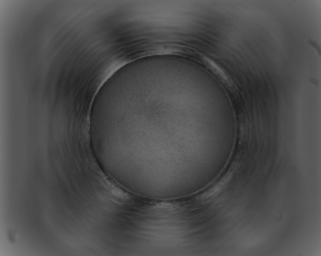 X0000093131178200710171301