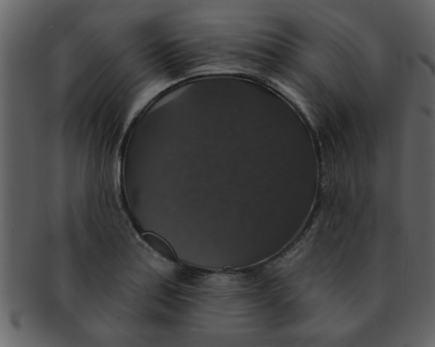 X0000093131179200710171301