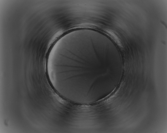 X0000093131180200710171301