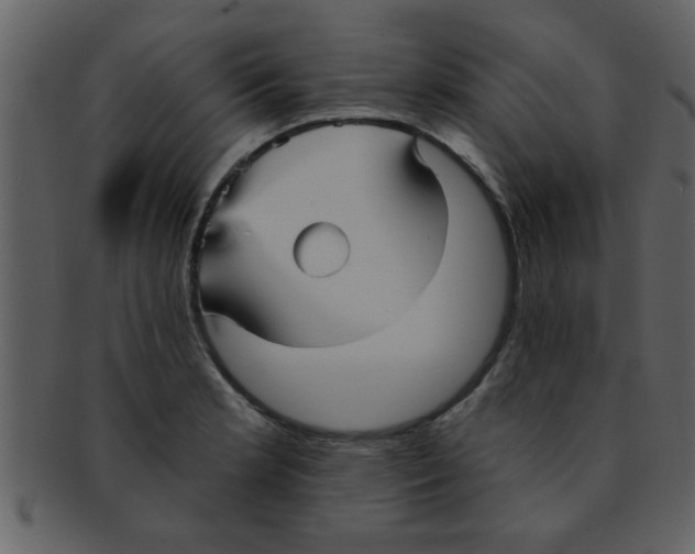 X0000093131181200710171301