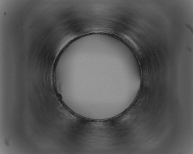 X0000093131182200710171301