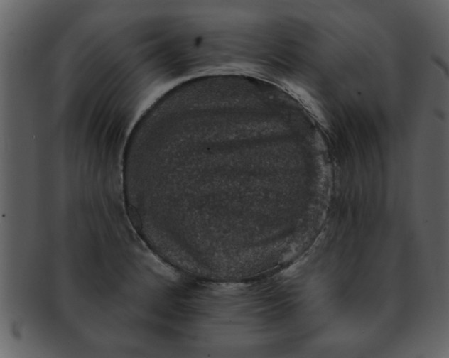 X0000093131184200710171301