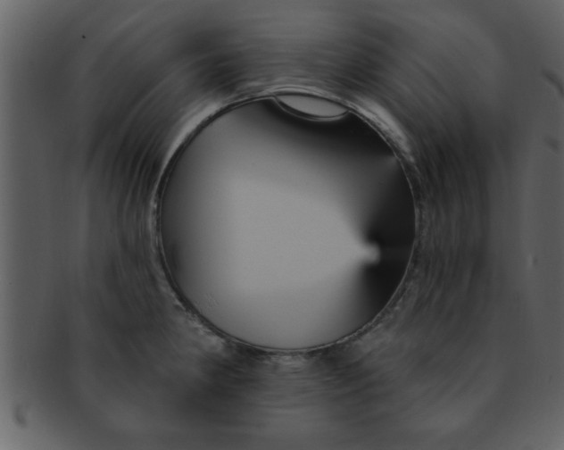 X0000093131190200710171301