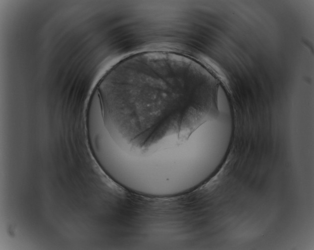 X0000093131192200710171301