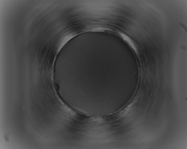 X0000093131194200710171301