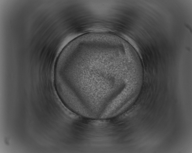 X0000093131195200710171301