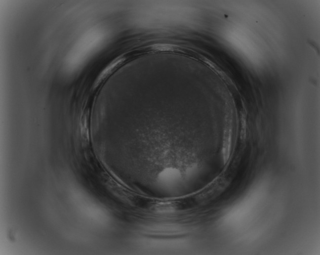 X0000093131198200710171300