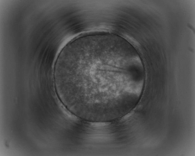 X0000093131200200710171300